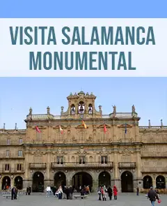 Visita Salamanca Monumental